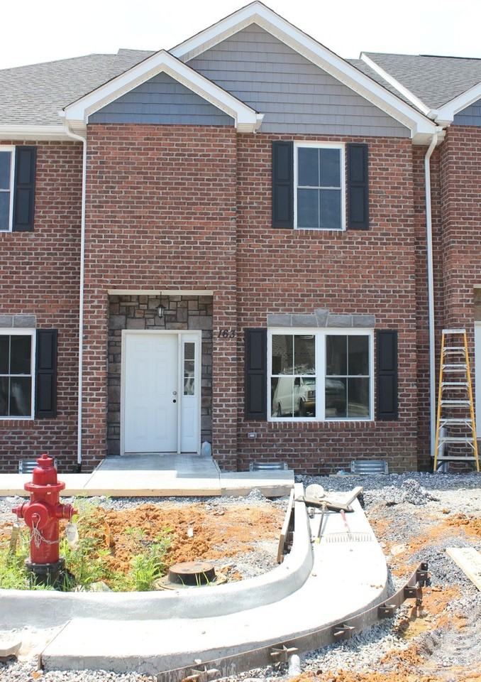 163 Cedar Point Ln - Photo 2 of 18