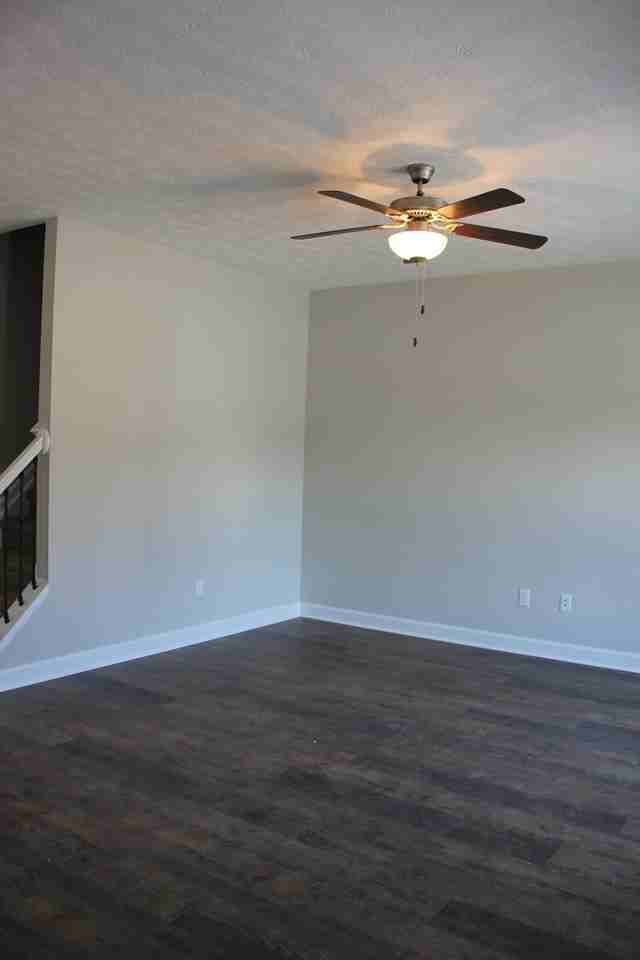 163 Cedar Point Ln - Photo 4 of 18