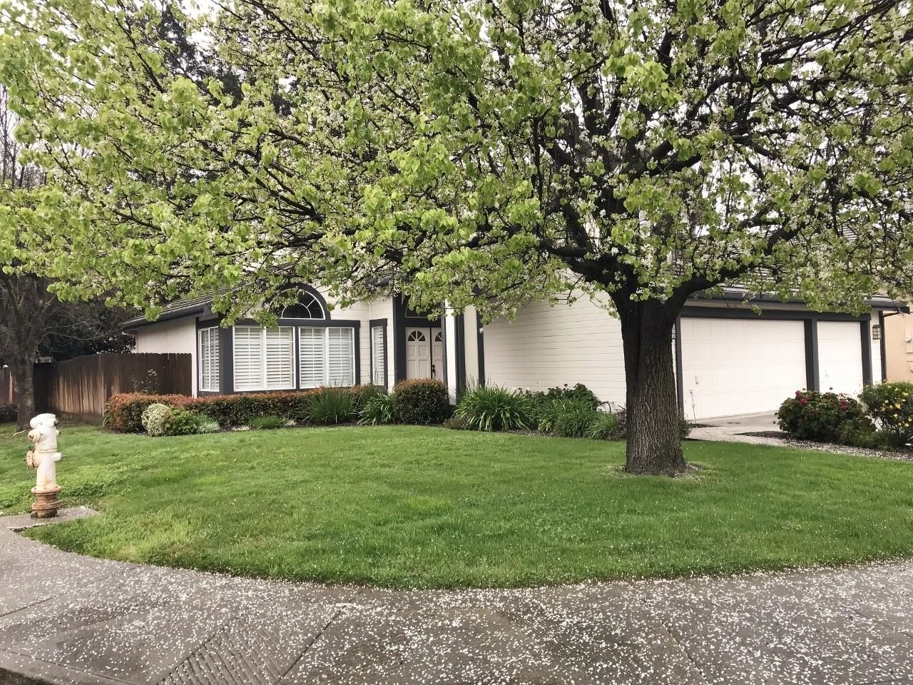 1305 Preston Pl - Photo 2 of 30