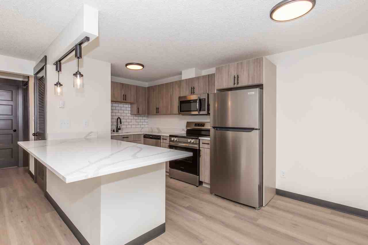 Bayswater Apartment - Photo 7 of 50