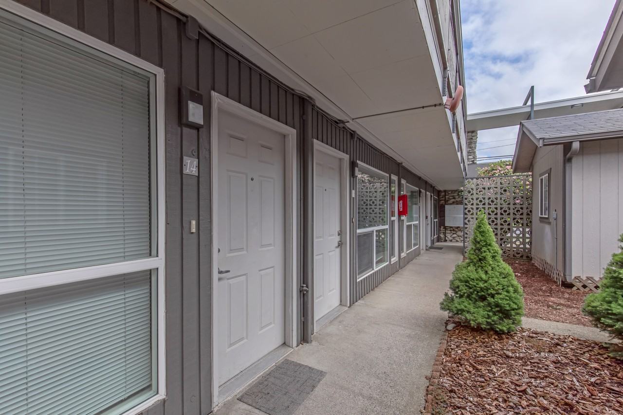 WhiteRock - Photo 4 of 15