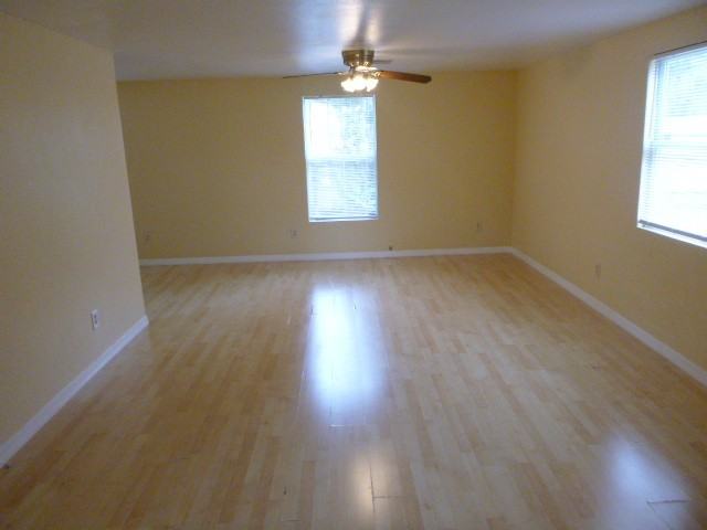 6616 Mangrove Dr #1 - Photo 5 of 50