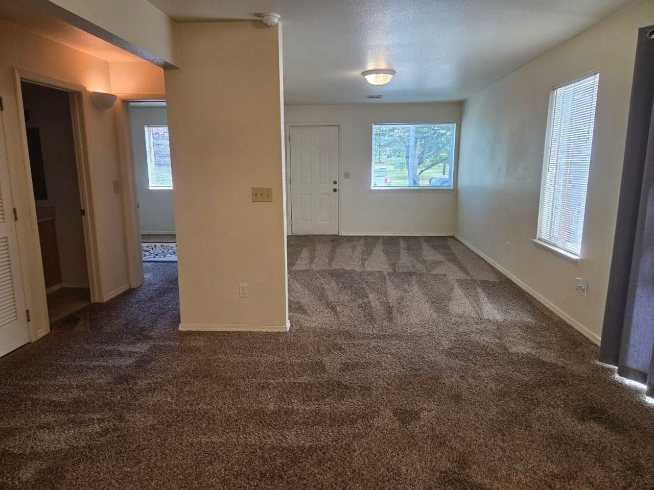 295 Tolman Creek Rd - Photo 6 of 22
