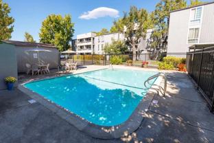 1776 Laguna St - Photo 1 of 1