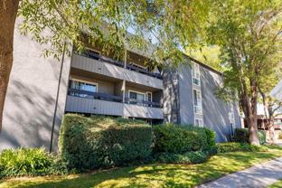 1776 Laguna St - Photo 1 of 1
