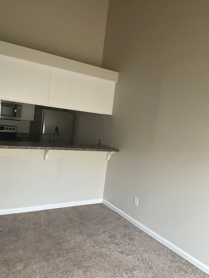 693 Chuck Gray Ct #1 - Photo 5 of 12