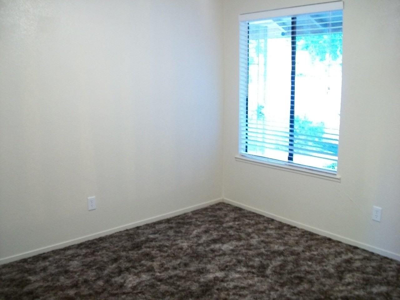 3250 Austin Ave - Photo 7 of 13