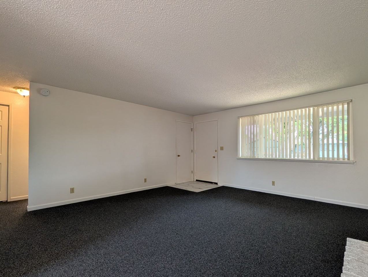 4953 Bluebelle Way - Photo 4 of 17