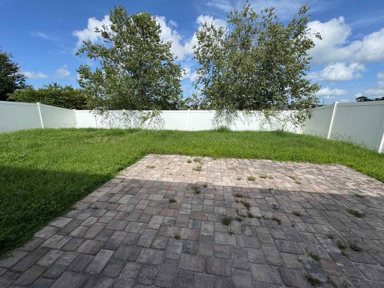 2980 Scarlett Dr - Photo 4 of 23