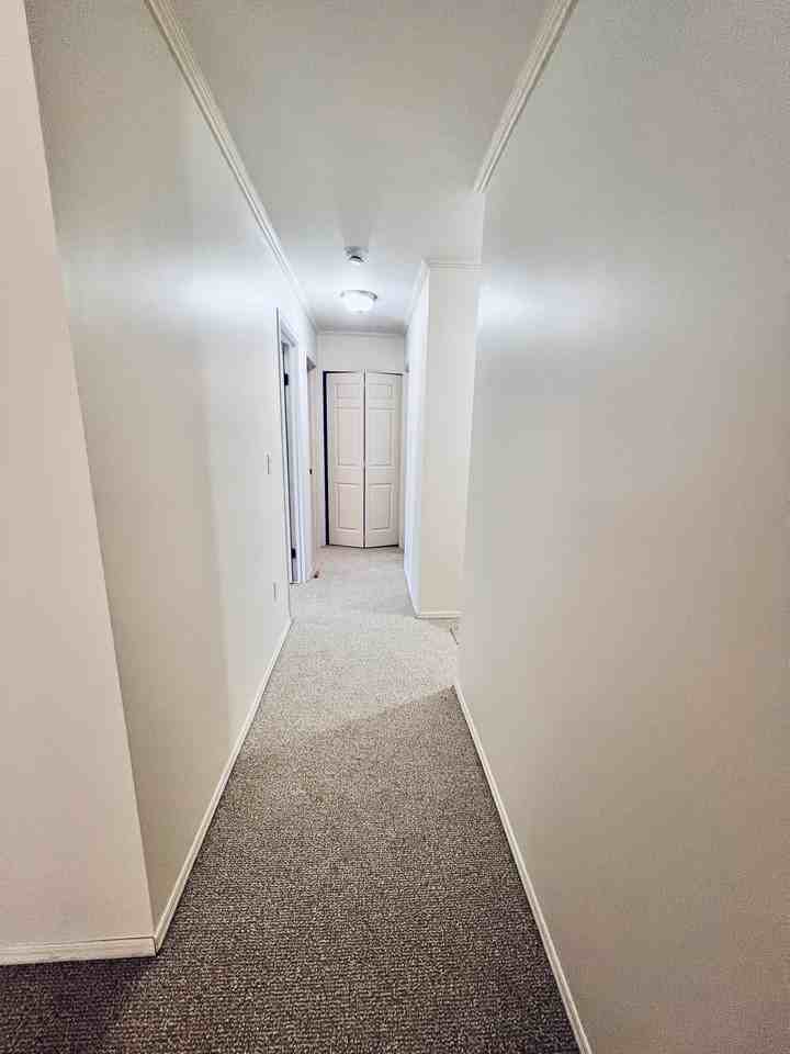 1001 Ridgeway Ave - Photo 7 of 12