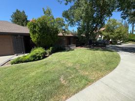 507 Bluebird Pl - Photo 1 of 1