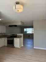 featured image of 135 Cook St