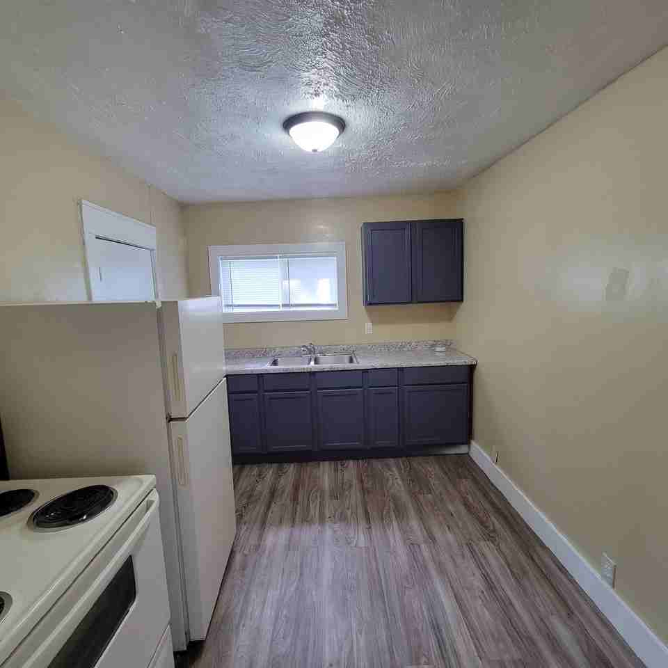 447 N Dearborn St - Photo 3 of 6