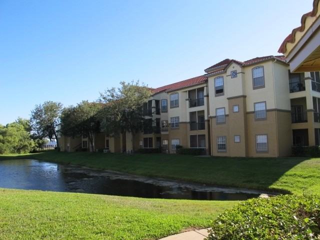 Apartments For Rent Tampa Fl 33647