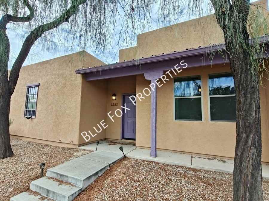 1292 S Paseo Luna Blanca - Photo 2 of 25