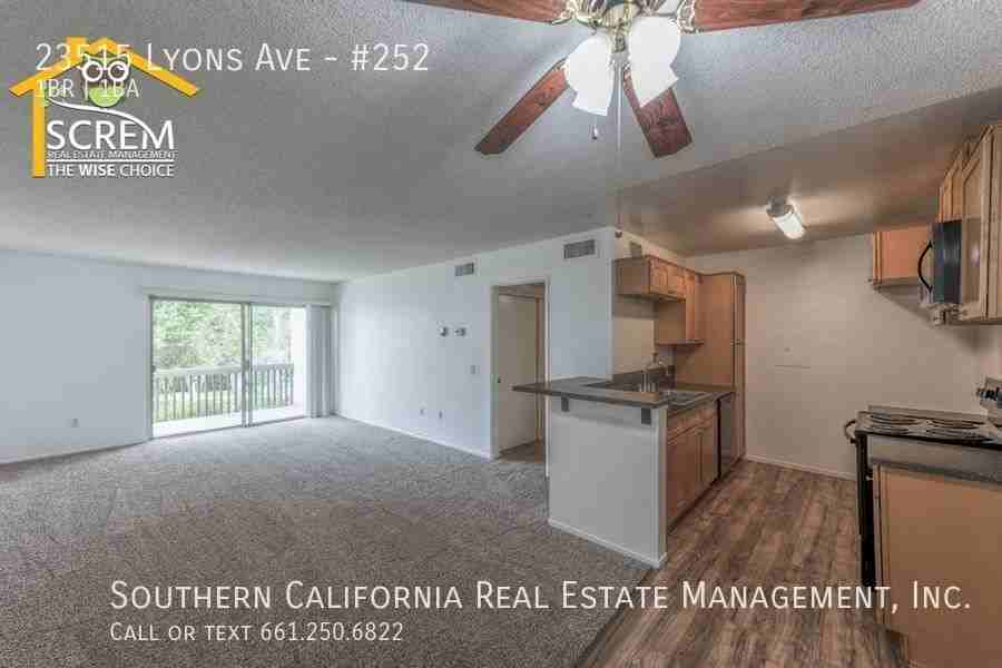 23515 Lyons Ave #252 - Photo 2 of 12