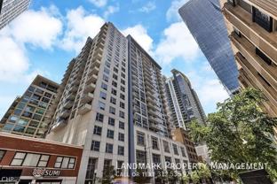 1305 S Michigan Ave #511 - Photo 1 of 1