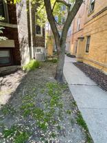 3917 N Southport Ave #1E - Photo 1 of 1