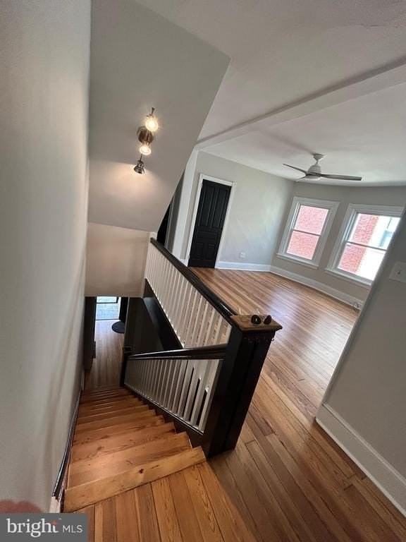 217 N Adams St - Photo 3 of 23