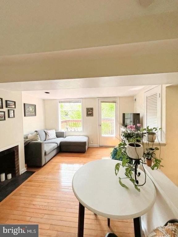1124 Rodman St - Photo 2 of 14