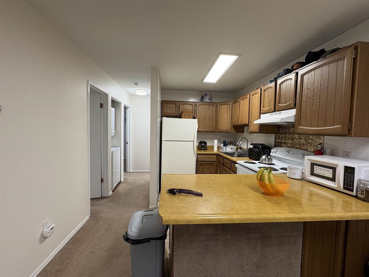 228 Woodridge St #1 - Photo 7 of 12