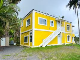 featured image of 425 Kaukini Loop #1