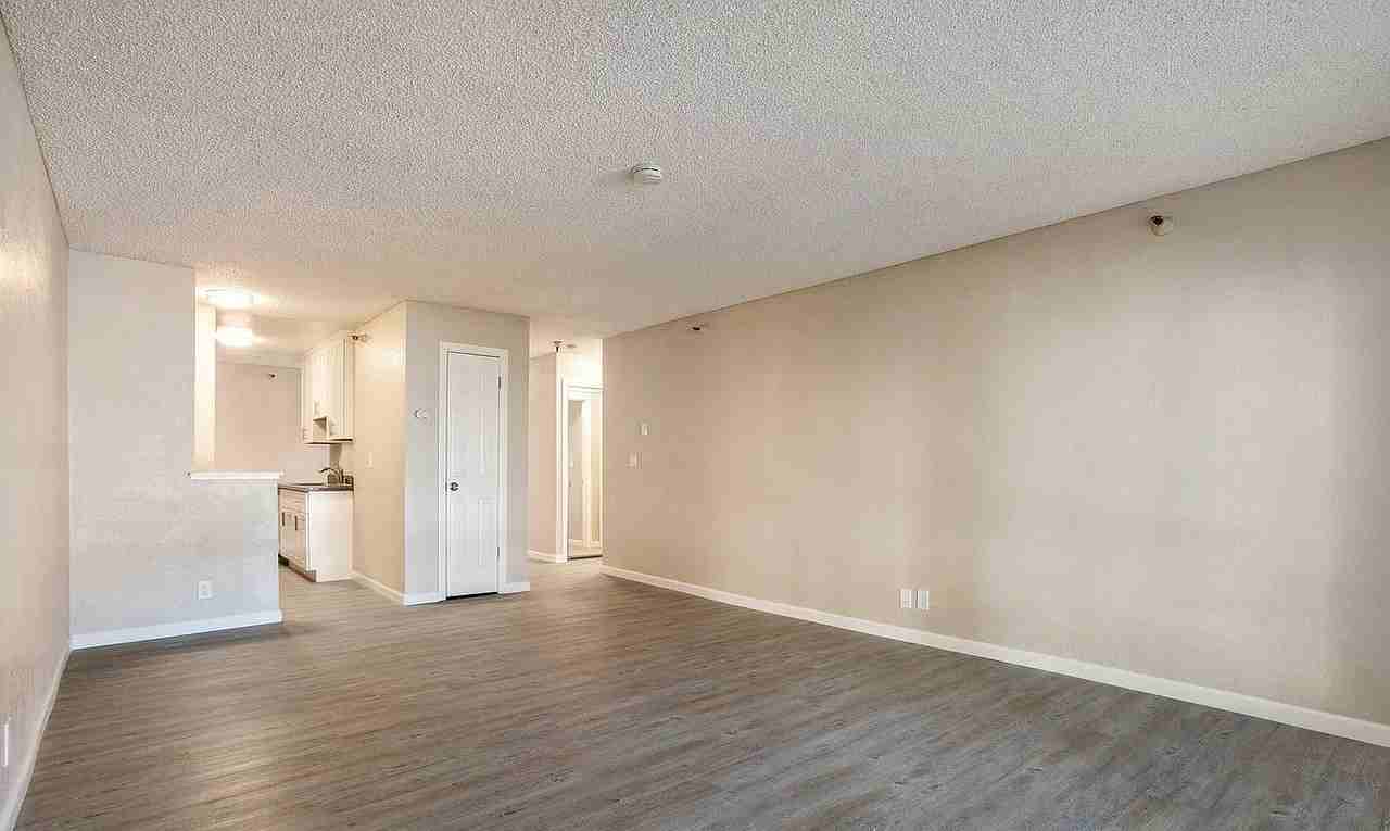 240 N Bayshore Blvd #101 - Photo 4 of 9