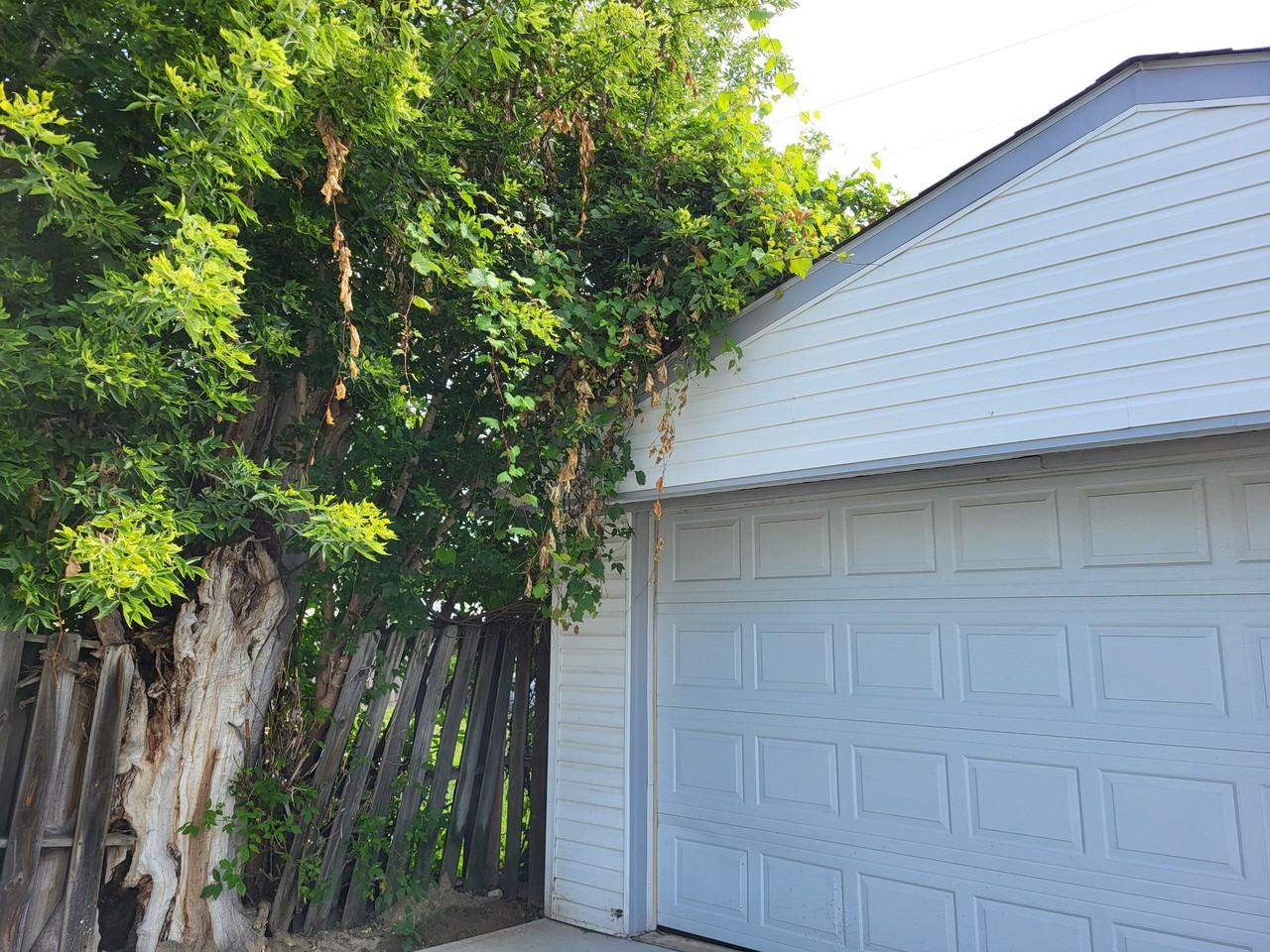14727 Mulberry St - Photo 5 of 14