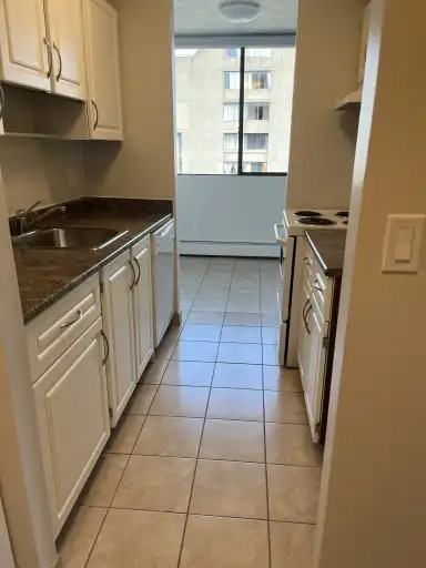 1230 Nelson St #1805 - Photo 5 of 11