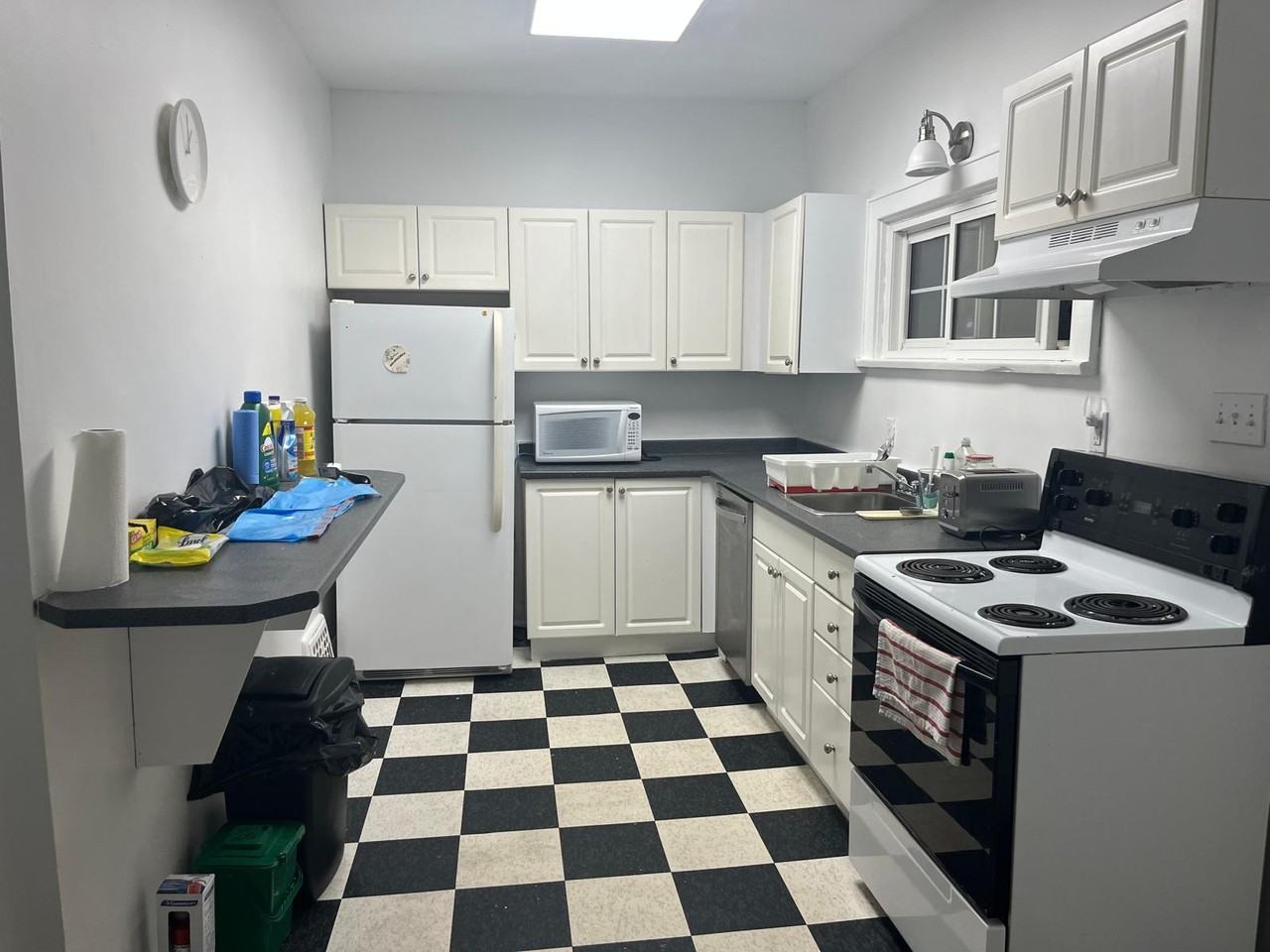558 Waterloo Street - Photo 7 of 19