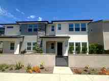 625 Gadwall - Photo 1 of 1