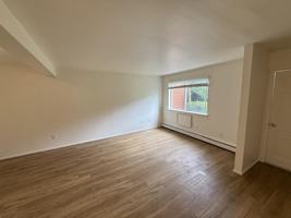 featured image of 37 Rome Ave