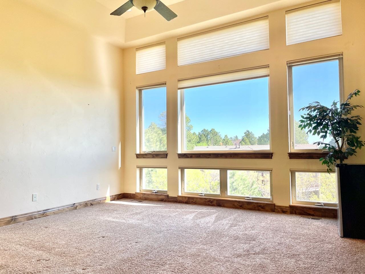5904 Buttermere Dr - Photo 6 of 20