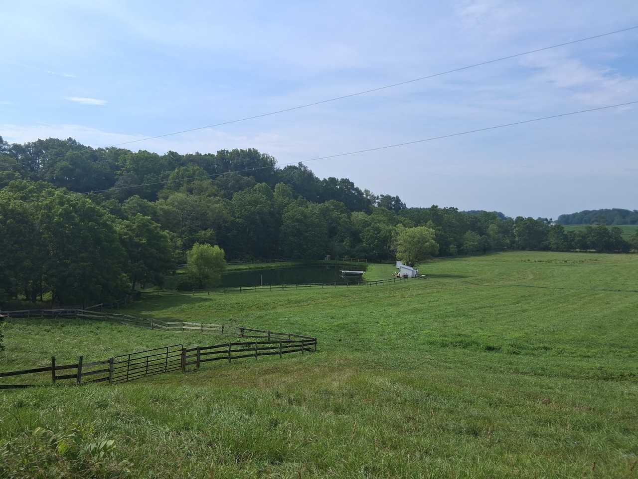 7011B Kimmel Rd - Photo 6 of 16