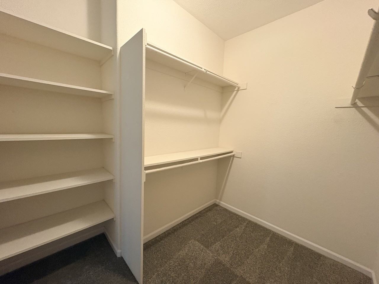 244 Mallard Dr #NA - Photo 4 of 9