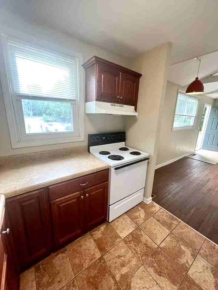 314 Moss Rose Ct - Photo 4 of 11