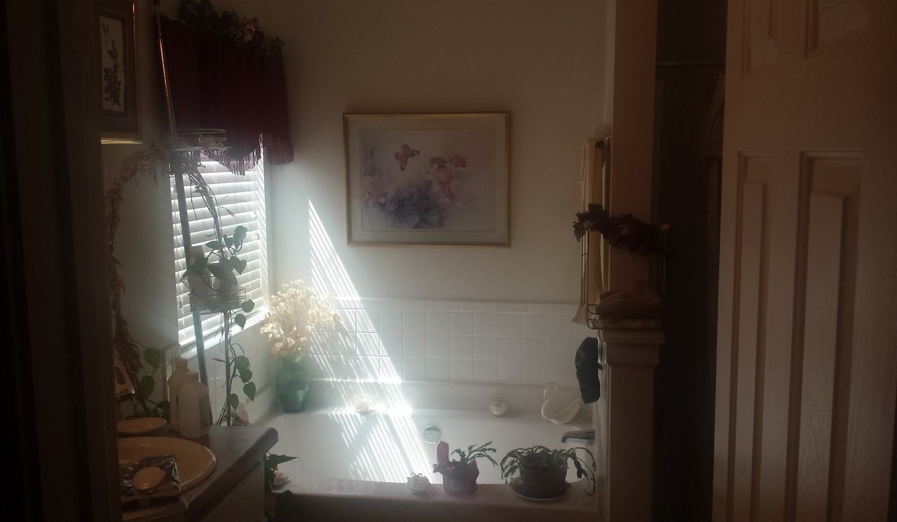 60 Lassiter Dr - Photo 6 of 13