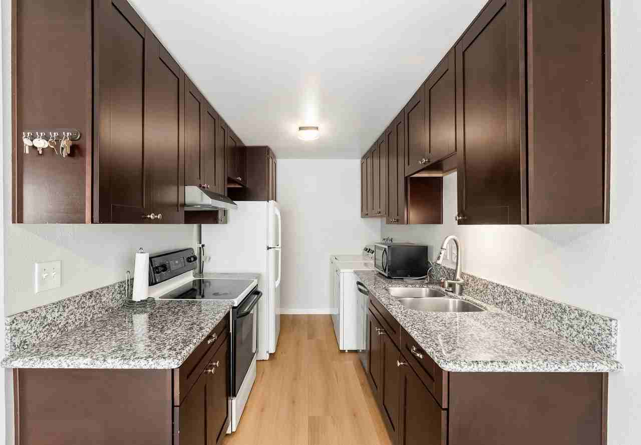 3908 Camphor Ln - Photo 2 of 29