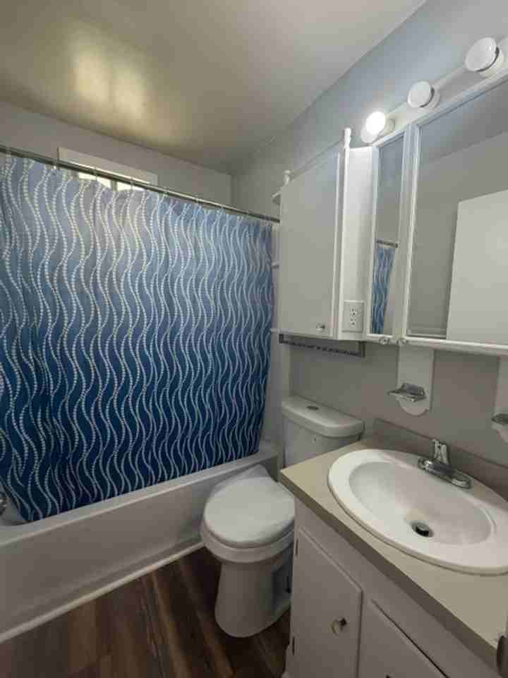 5007 Higgins St - Photo 7 of 12