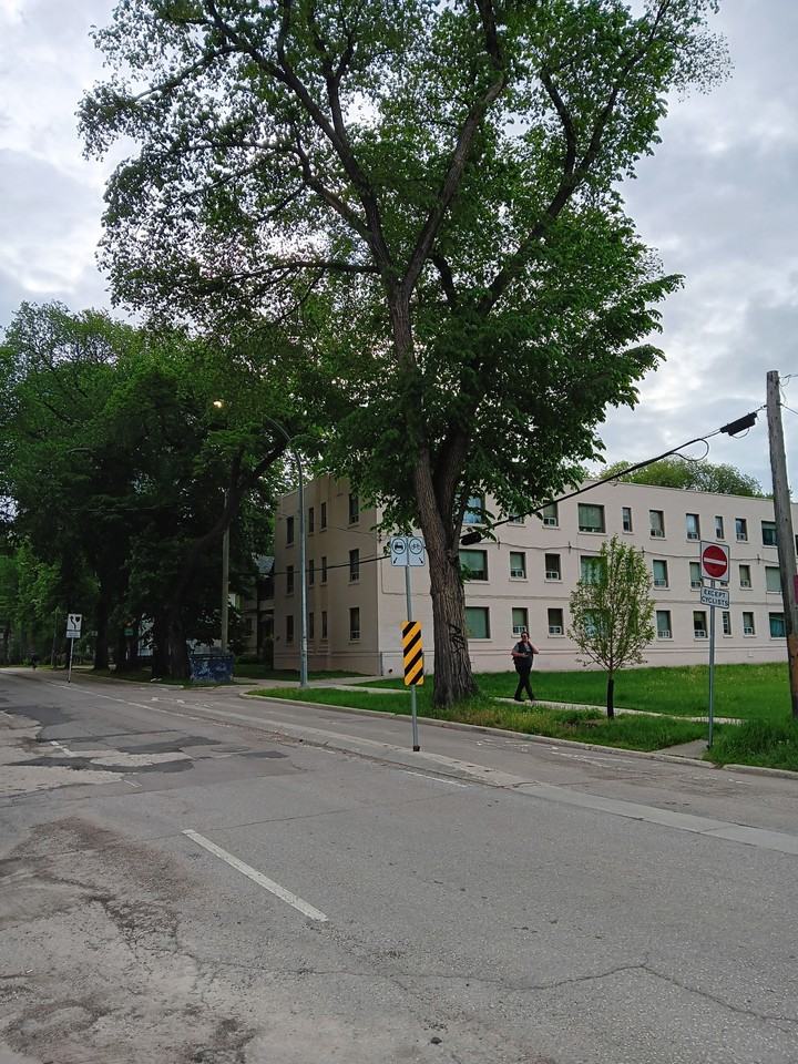 438 Assiniboine Avenue #0 - Photo 2 of 9