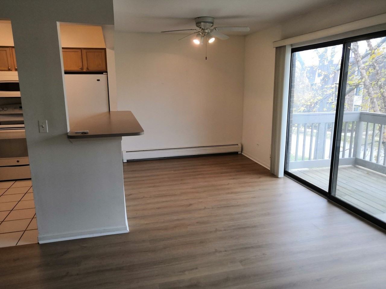 249 W Court Of Shorewood #2B - Photo 4 of 15