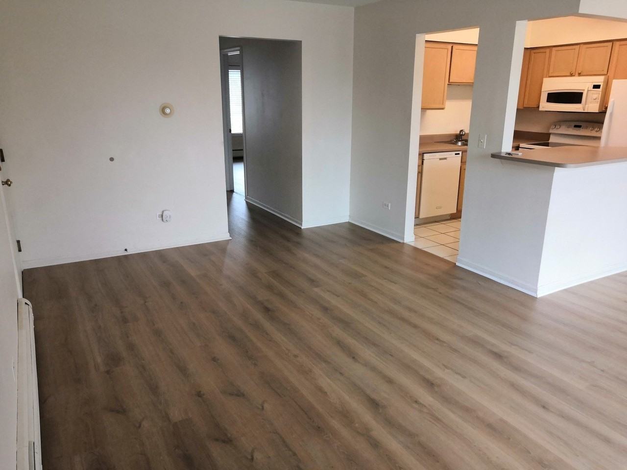 249 W Court Of Shorewood #2B - Photo 7 of 15