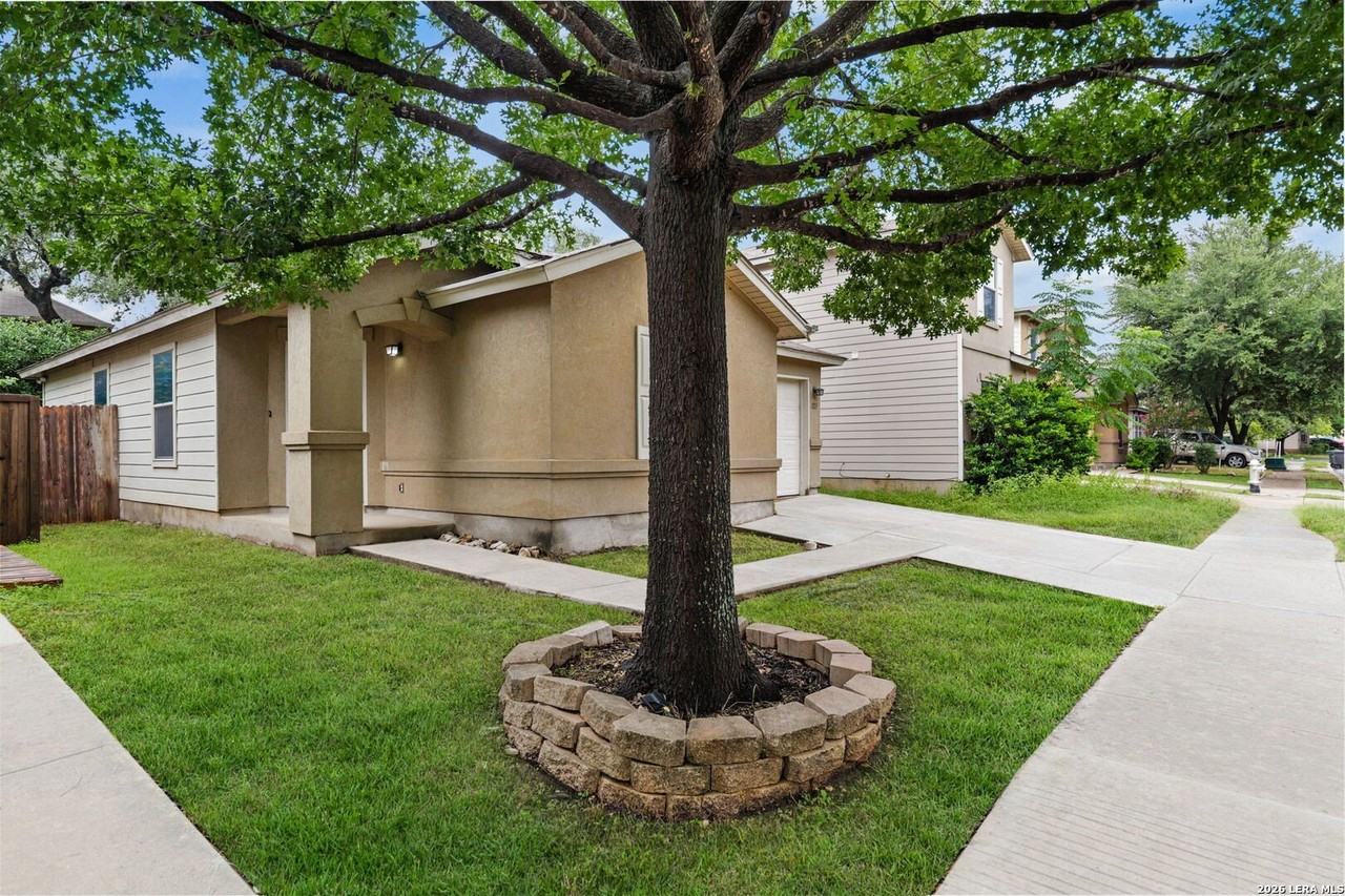 323 Amberdale Oak - Photo 3 of 19