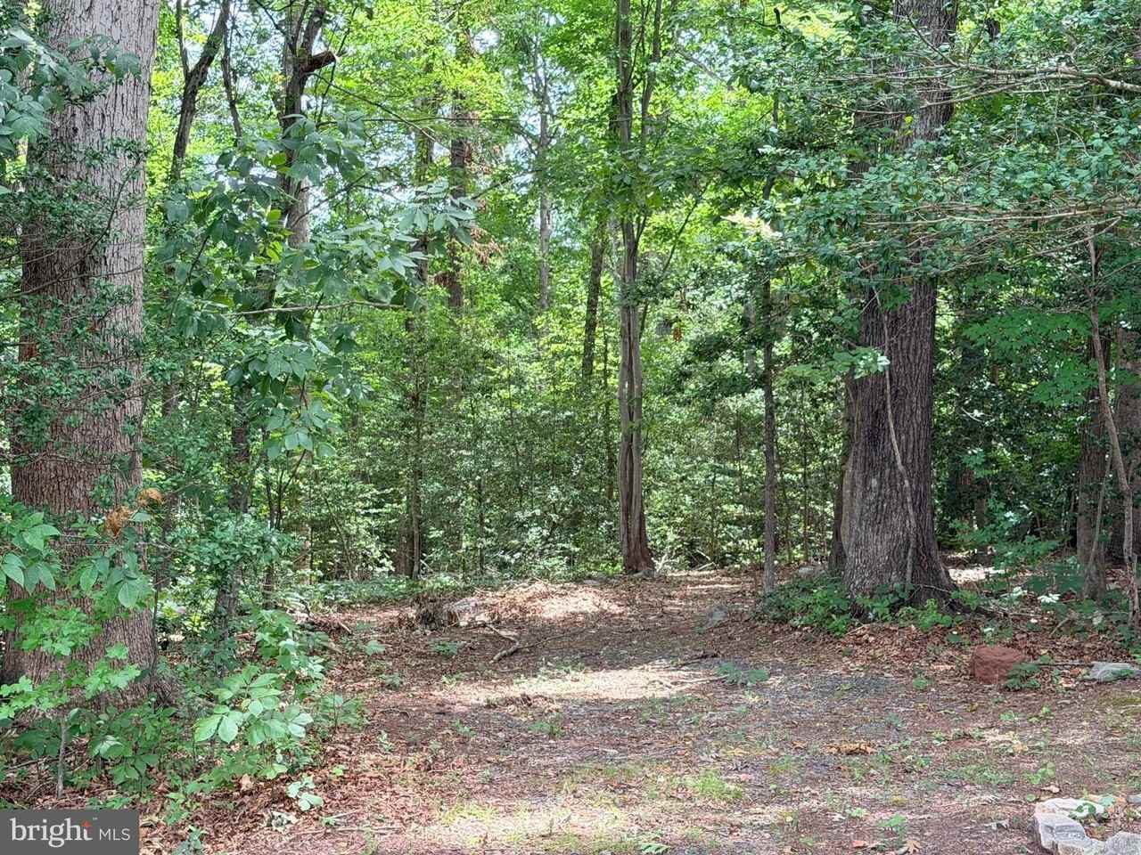 278 Richland Rd - Photo 2 of 22