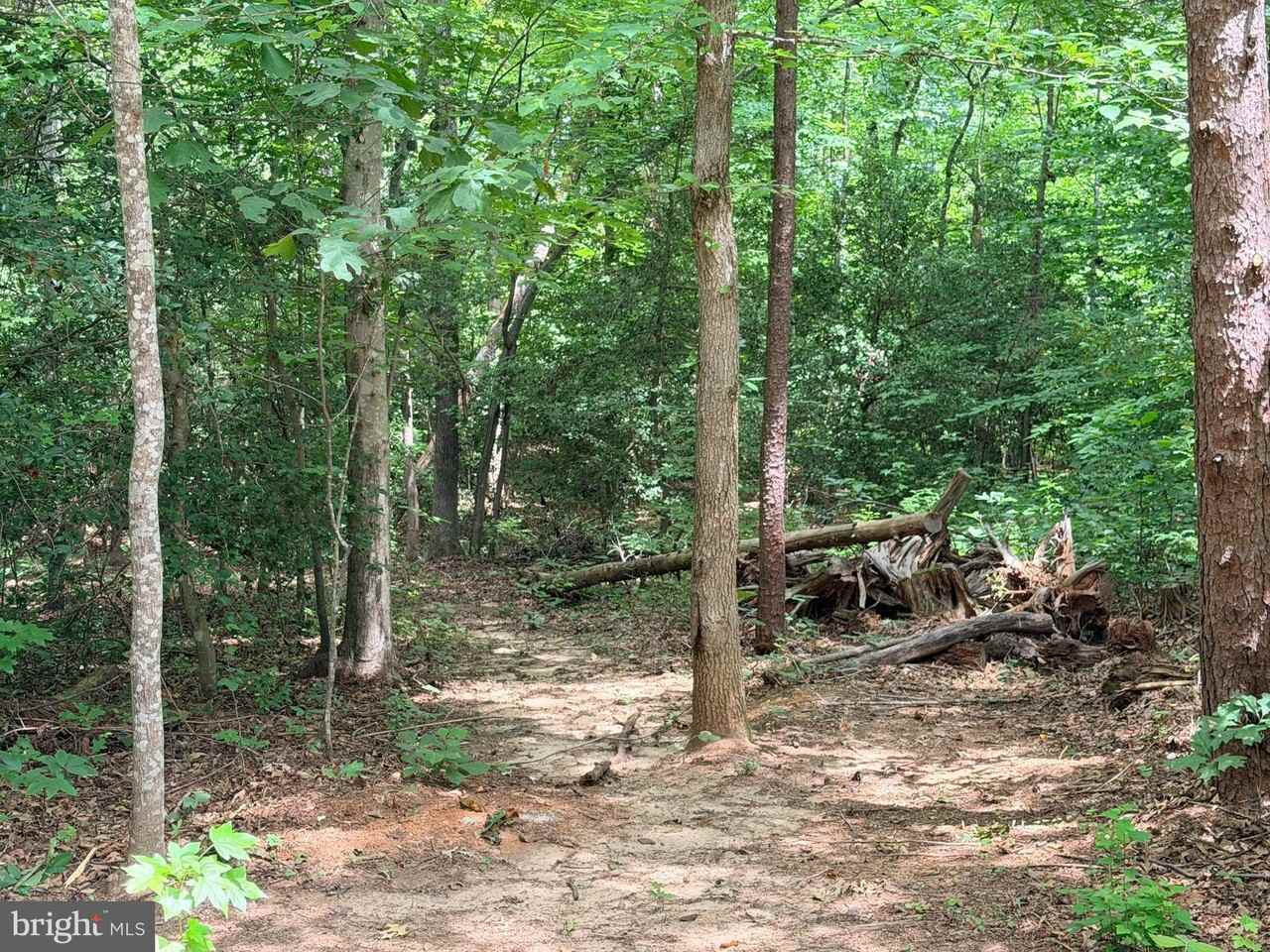 278 Richland Rd - Photo 3 of 22