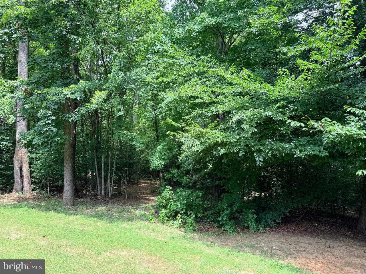 278 Richland Rd - Photo 4 of 22