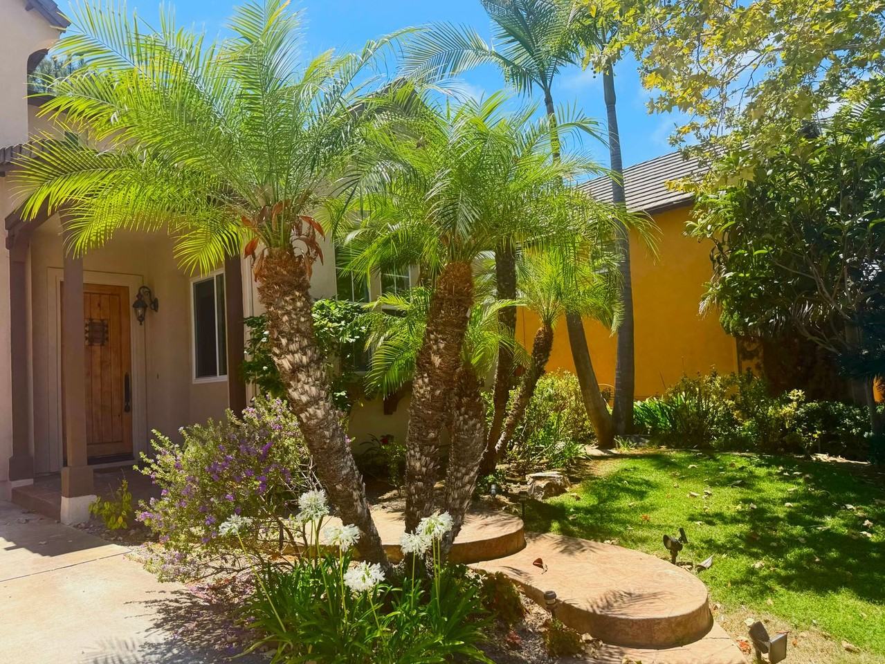 10636 Senda Acuario - Photo 2 of 17