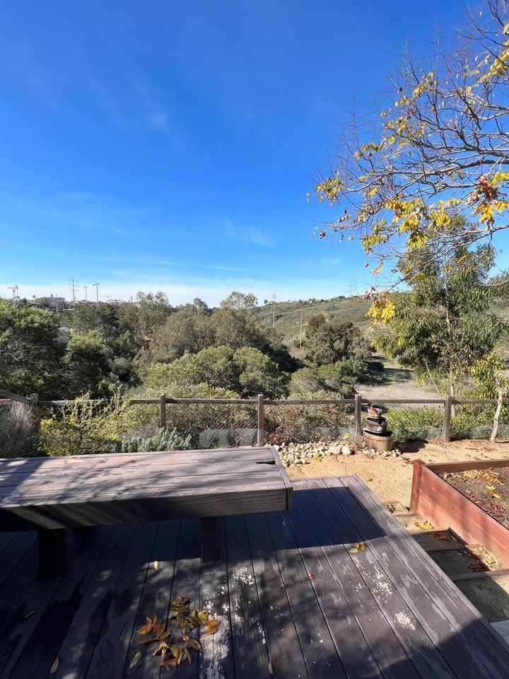 6211 Caminito Del Oeste - Photo 3 of 16