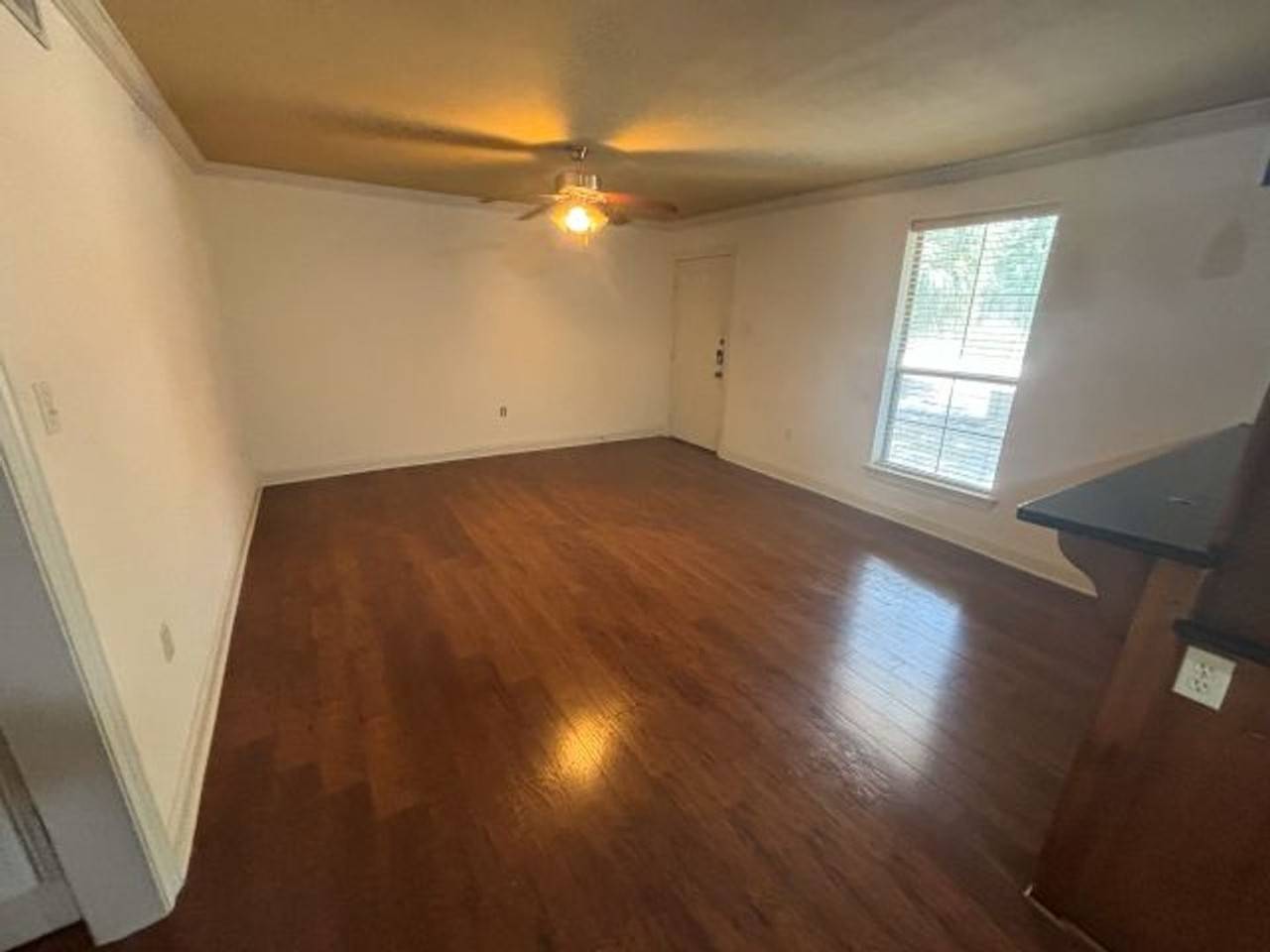 1290 Park Blvd - Photo 3 of 12
