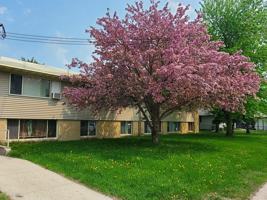featured image of 1115 18th Ave S #16